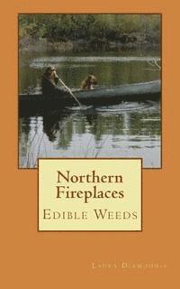 Northern Fireplaces 1