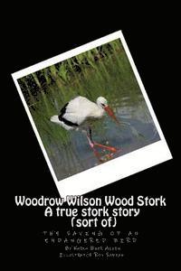 bokomslag Woodrow Wilson Woodstork A true stork story (sort of): the saving of an endangered bird