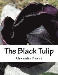 bokomslag The Black Tulip