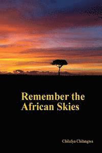 bokomslag Remember the African Skies