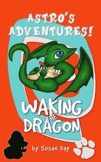 bokomslag Waking the Dragon