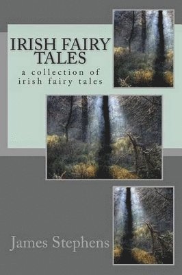 bokomslag Irish fairy tales