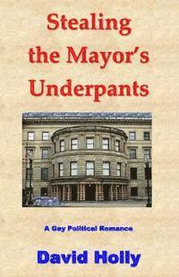 bokomslag Stealing the Mayor's Underpants: A Gay Political Romance