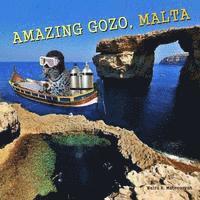 bokomslag Amazing Gozo, Malta