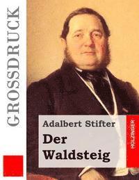 Der Waldsteig (Großdruck) 1