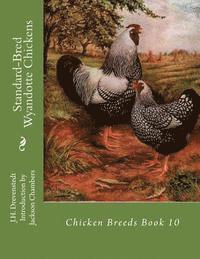 bokomslag Standard-Bred Wyandotte Chickens: Chicken Breeds Book 10