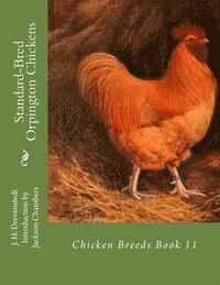 bokomslag Standard-Bred Orpington Chickens: Chicken Breeds Book 11