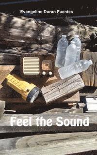 Feel the Sound 1
