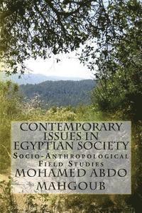 bokomslag Contemporary Issues in Egyptian Society: Socio-Anthropological Field Studies
