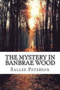 bokomslag The Mystery in Banbrae Wood