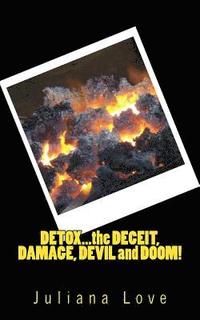 bokomslag Detox...the Deceit, Damage, Devil and Doom!