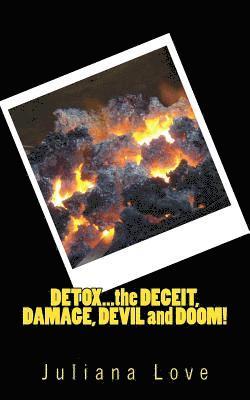 bokomslag Detox...the Deceit, Damage, Devil and Doom!