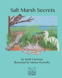 bokomslag Salt Marsh Secrets