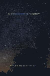 bokomslag The Consolations of Purgatory