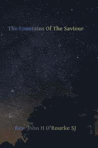 bokomslag The Fountains of the Saviour: Reflections for the Holy Hour