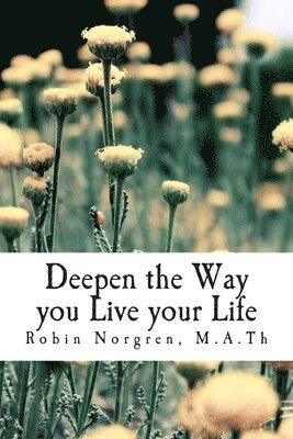 bokomslag Deepen the Way you Live your Life