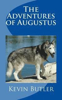 bokomslag The Adventures of Augustus