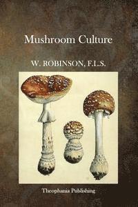 bokomslag Mushroom Culture