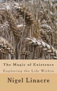 bokomslag The Magic of Existence: Exploring the Divine Within