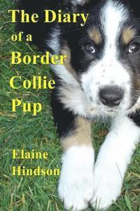 bokomslag Diary of a Border Collie Pup