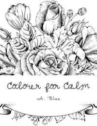 Colour for Calm 1