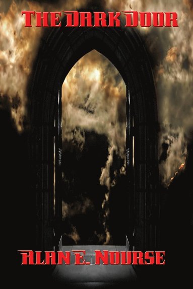 bokomslag Dark Door