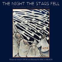 bokomslag The Night the Stars Fell