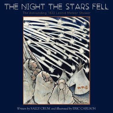 Sally Crum - Night the Stars Fell, Häftad