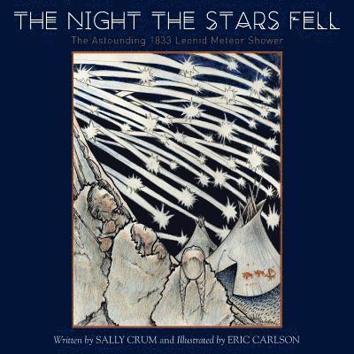 The Night the Stars Fell 1