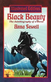 bokomslag Black Beauty (Illustrated Edition)