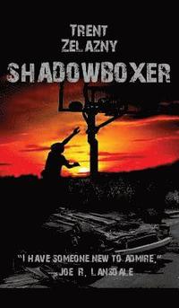 bokomslag Shadowboxer