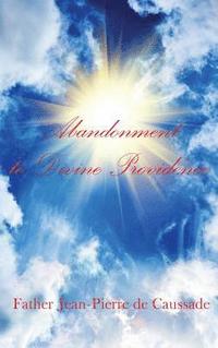 bokomslag Abandonment to Divine Providence