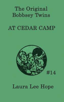 The Bobbsey Twins at Cedar Camp 1