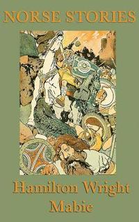 bokomslag Norse Stories