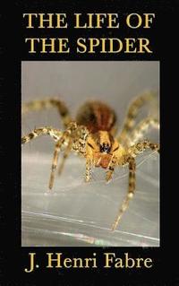 bokomslag Life of the Spider