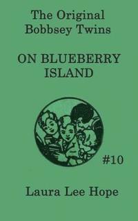 bokomslag Bobbsey Twins on Blueberry Island