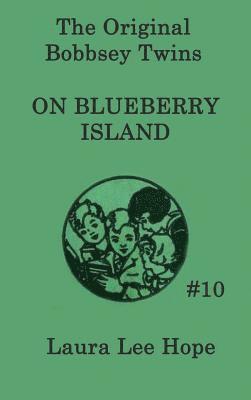 bokomslag Bobbsey Twins on Blueberry Island