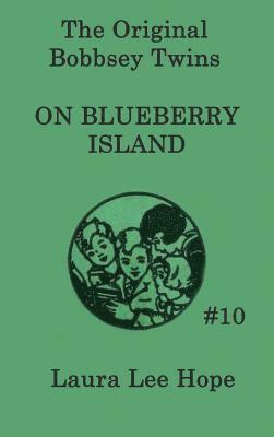 bokomslag The Bobbsey Twins on Blueberry Island