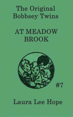 Bobbsey Twins at Meadow Brook