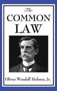 bokomslag The Common Law