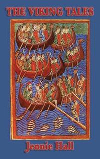 bokomslag Viking Tales