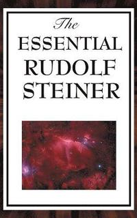 bokomslag The Essential Rudolf Steiner