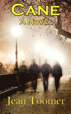 bokomslag Cane A Novel