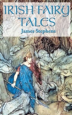 bokomslag Irish Fairy Tales