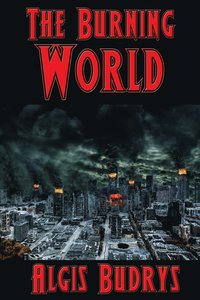 bokomslag The Burning World