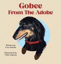 bokomslag Gobee From The Adobe