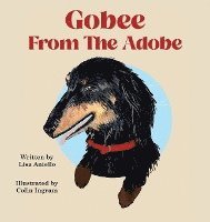 Gobee From The Adobe 1