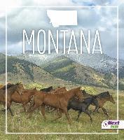 Montana 1