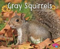 bokomslag Gray Squirrels