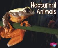 bokomslag Nocturnal Animals